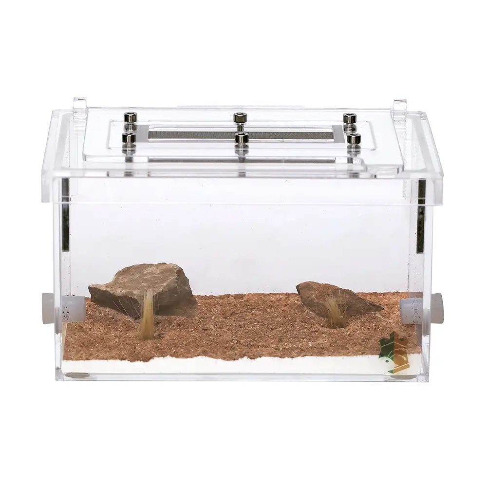 リトルカーペンターズ　アリ飼育用　レイアウト済み小餌場　蟻　飼育容器　ＣＲＣ18―35―97―00―00