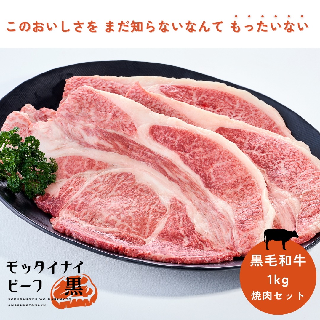モッタイナイビーフ 黒（黒毛和牛 Ａ４ランク以上 牛肉） 1kg（500g×2パック） 7,560円