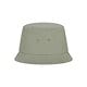 1638_Olive