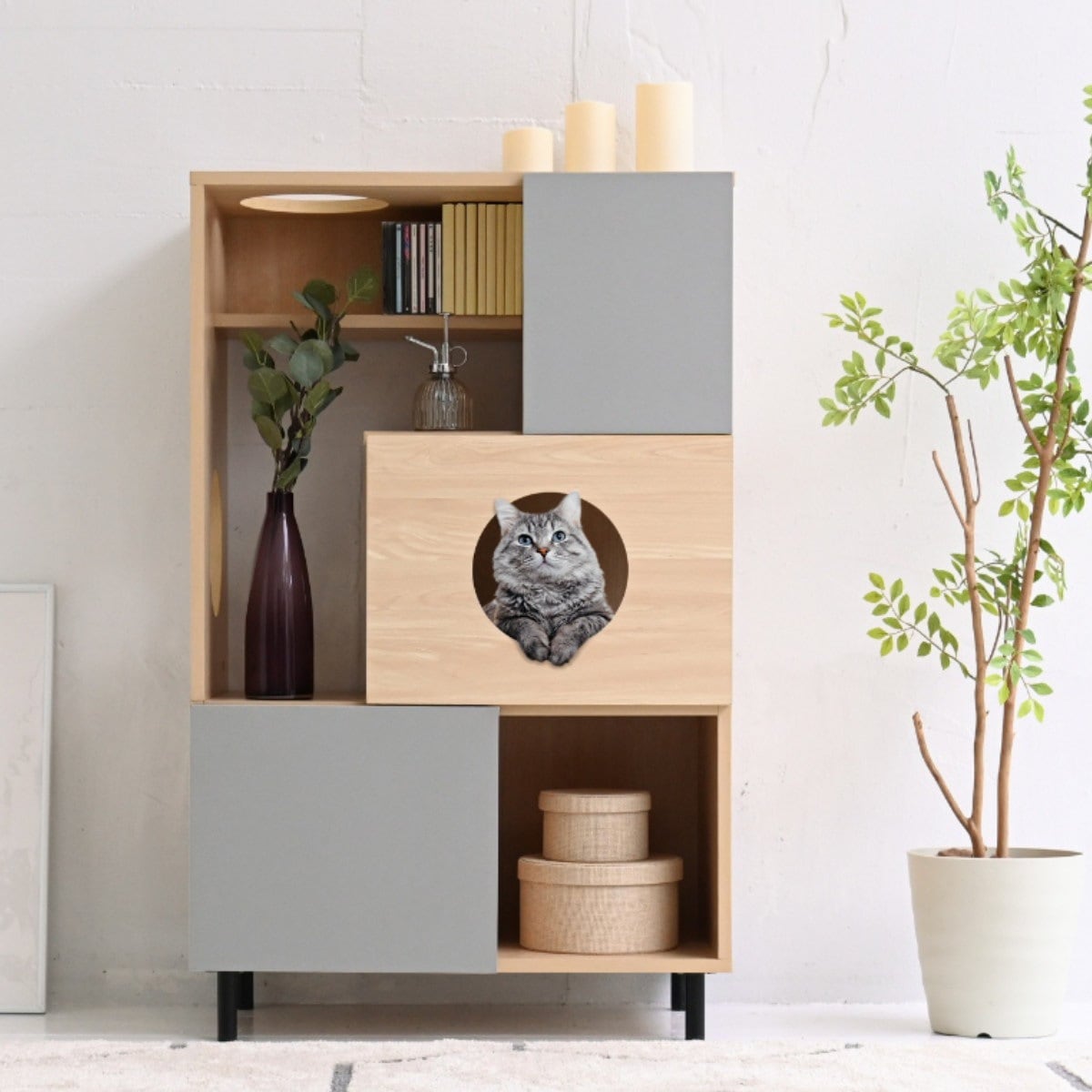 ディスプレイラック キャビネット ペットスペース付 幅70cm ラック 収納 家具 棚 ペット家具 キャットタワー キャットウォーク ディスプレイ 本棚 シェルフ A4対応 バイカラー