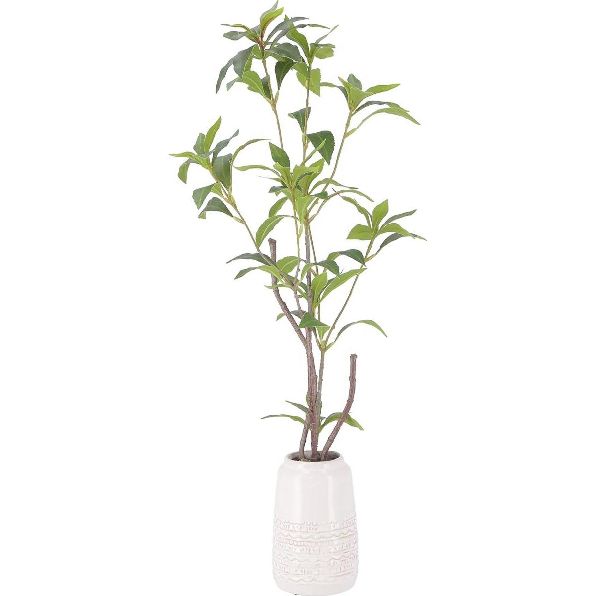 【I】不二貿易 フェイクグリーン ギンモクセイ セラミックポット インテリアグリーン 人工観葉植物 41133