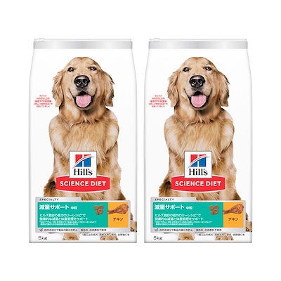 【未使用】コシノアヤコ　七五三　7歳　正絹　辛子色　女の子　着物　襦袢 未使用】コシノアヤコ 七五三 7歳 正絹 辛子色 女の子 着物 襦袢