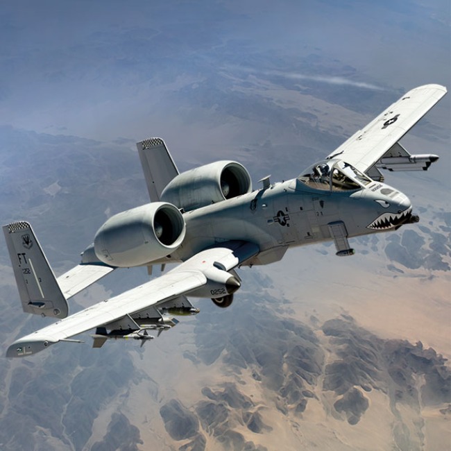 [1/48スケール] USAF A-10C「75th FSフライングタイガース」, アカデミープラモデル #12348