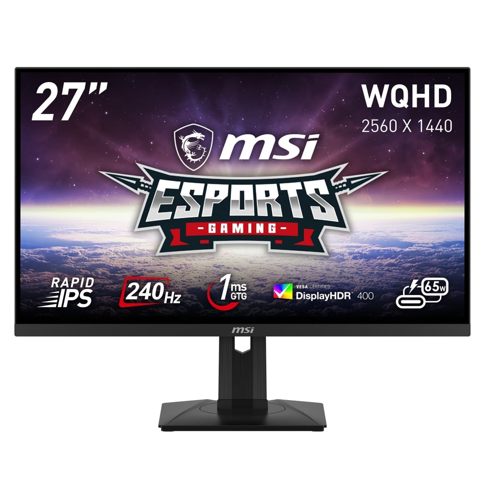 MSI ゲーミング液晶ディスプレイ(27型/RAPID IPS/WQHD 2560×1440/240Hz/1ms/HDR400/HDMI2.0b/DP1.4a/USB TYPE-C/VESA/PIP・