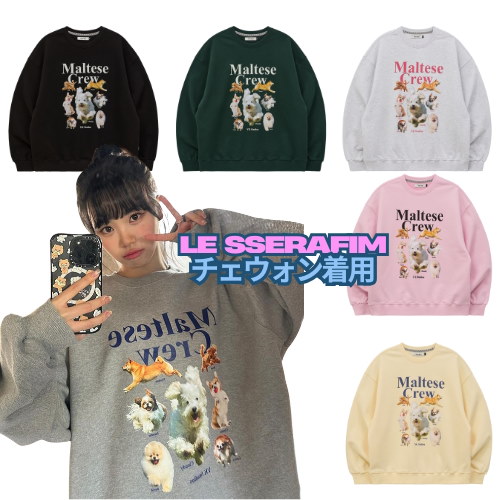【Wai Kei】 Maltese Crew Sweatshirt/追跡付 MUSINSA | WAI KEI Maltese Crew Sweatshirt Navy