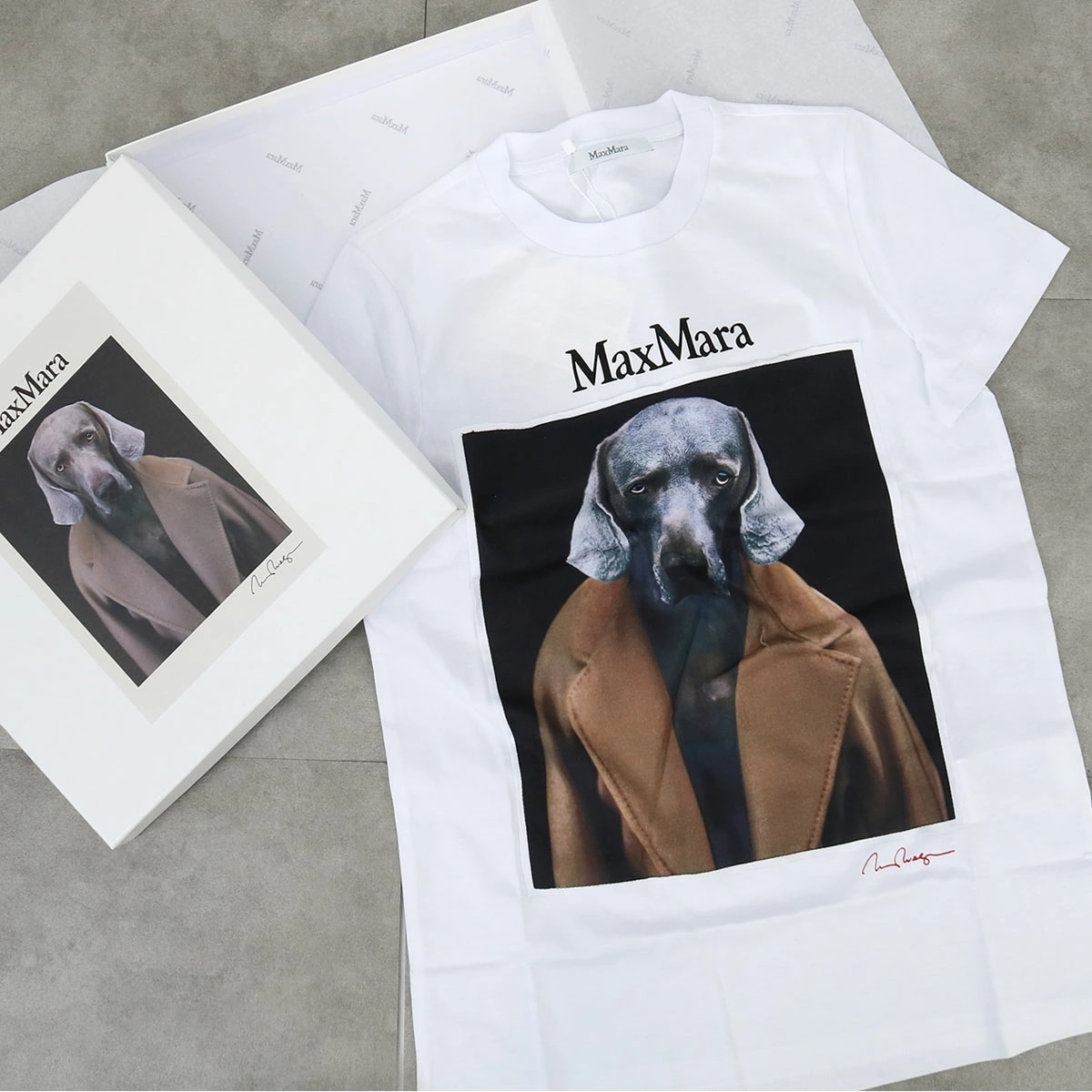 CIPRIA チプリア レディース半袖Tシャツ 016 ウィリアム・ウェグマン ピュア コットン ジャージー カットソー ロゴ コットン ドッグプリント 犬 クルーネッ