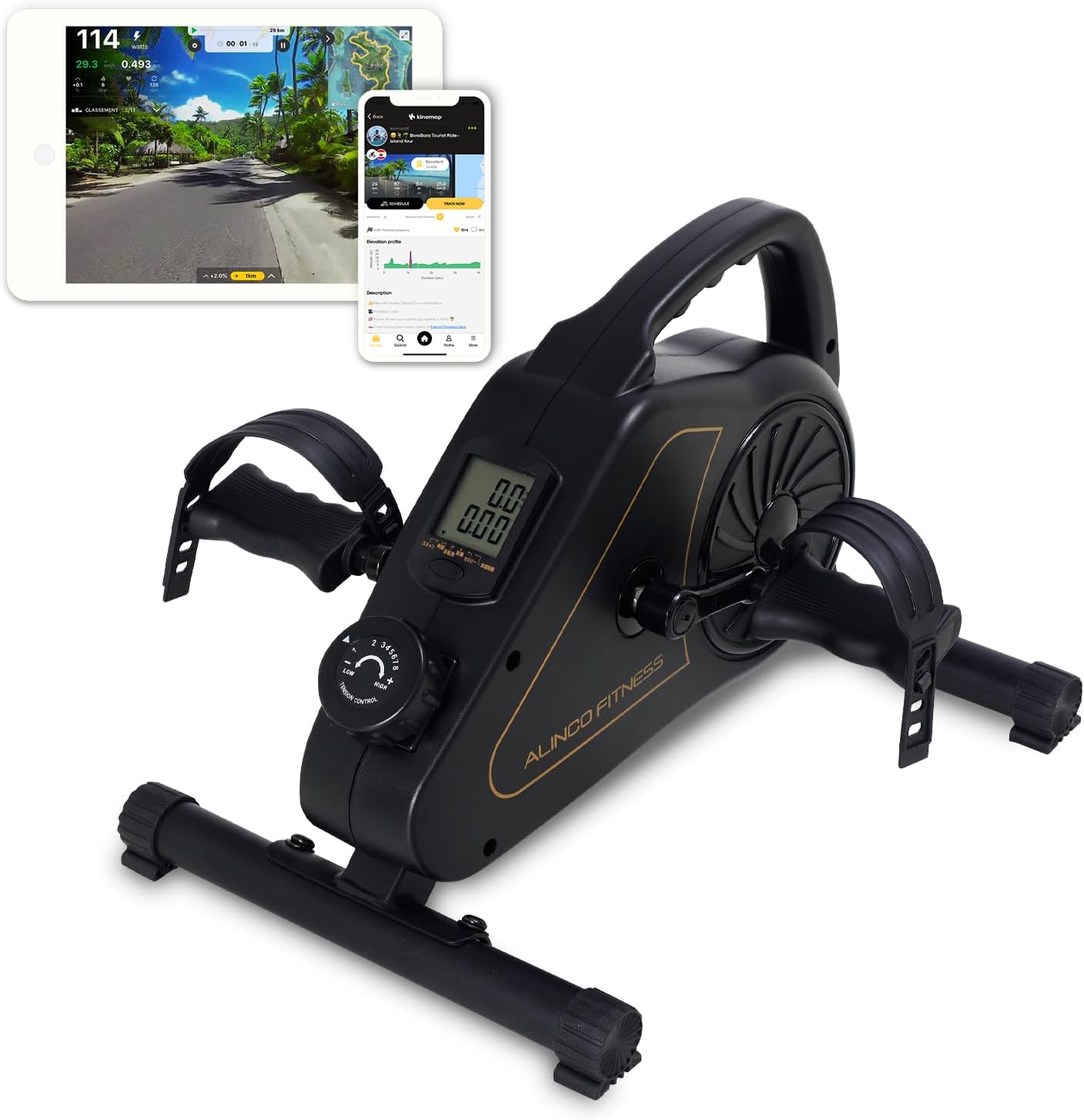 マットブラック(アプリ連動) アルインコ(ALINCO) フィットネスバイク エアロマグネティックバイク ミニ 小型 健康器具 ダイエット器具 家庭用 静音 軽量 コンパクト 省スペース 簡単移動マッ