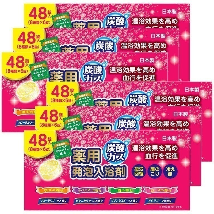 【イチオシ商品】(6個セット)入浴剤 アソートセット 薬用 炭酸ガス 薬用発泡入浴剤 ライオンケミカル