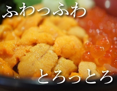 冷凍 生うに 無添加 800g(100g 8パック) チリ産 うに丼約16杯分