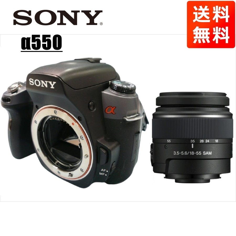 α550 DT 18-55mm 標準 レンズセット デジタル一眼レフ カメラ 中古