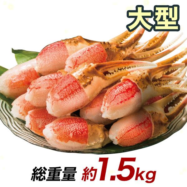 ポーション ずわいがに 生 大型生ずわい爪肉剥き身 総重量:約1.5kg(正味1.2kg) 1セット カニ鍋 かにしゃぶ