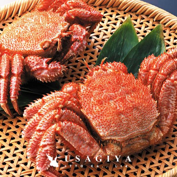 毛がに 北海道 毛ガニ ギフト 毛蟹 2尾 2匹 冷凍 ボイル 産地直送 新鮮 濃厚 甲羅付き 豪華 熨斗 のし お中元 御歳暮 贈り物 御礼 お祝い