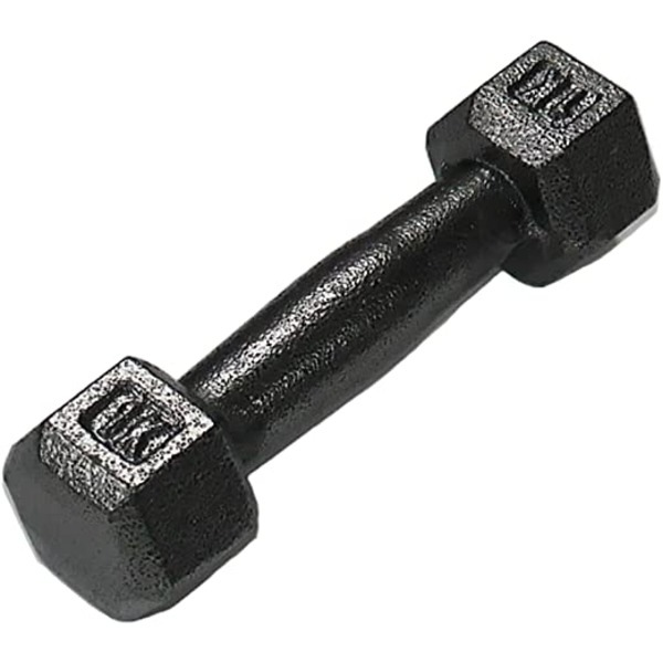 鉄アレー ダンベル [1kgx20本]防滑 防傷 転がりにくい仕様 [スポーツ用品 運動用品]