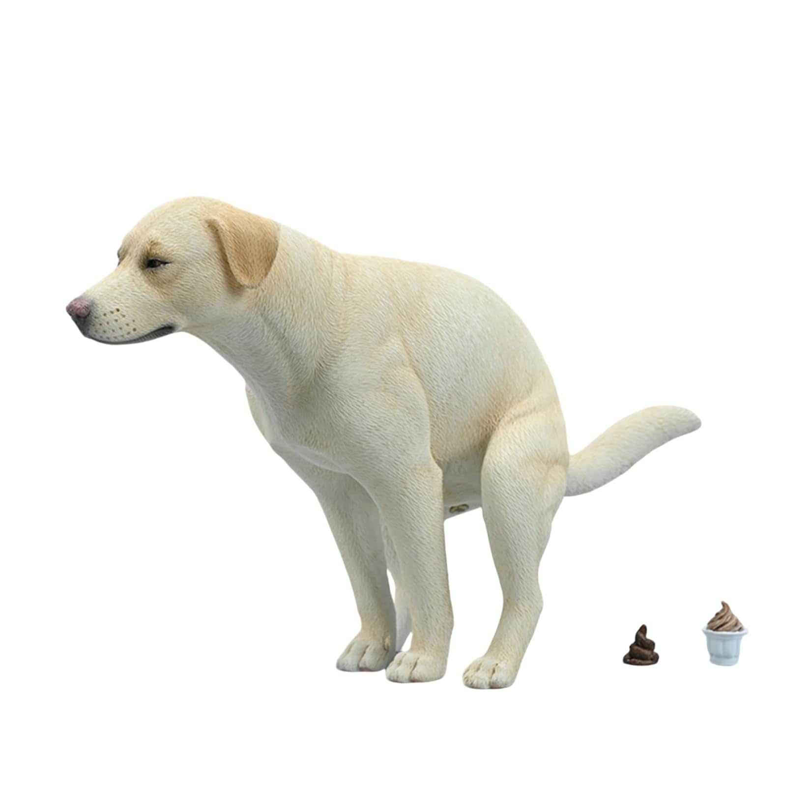 JXK 1/6サイズ ラブラドール・レトリバー 22CM しゃがみ込む フィギュア 犬 樹脂 リアル 動物 プラモデル 模型 犬好き プレゼント 置物 コレクション ラブラドール・リトリーバー