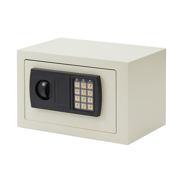 サンワダイレクト 小型電子金庫(テンキー鍵式壁掛け対応9.9リットル) 200-SL038GY 1台