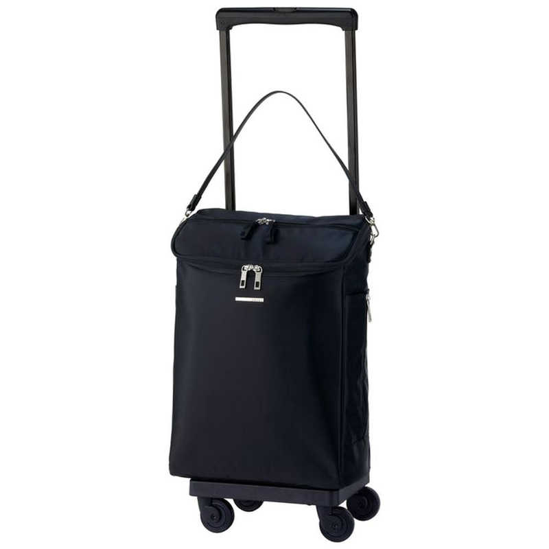 スワニー　ジップ7 サイレントキャリーLサイズ SWANY (スワニー) 日帰り～1泊 22L ブラック　58390