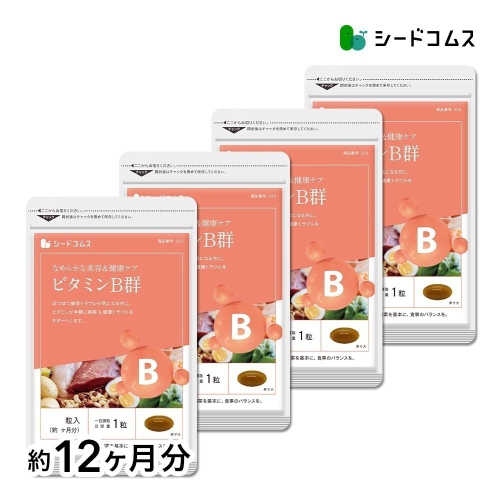 ビタミンB群 約１２ヶ月分