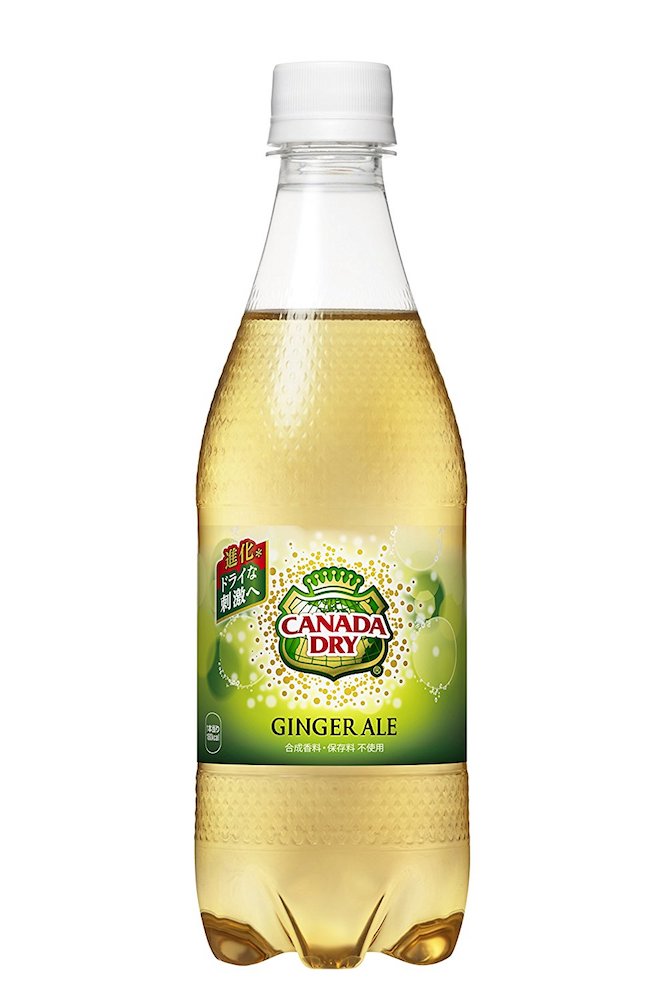 カナダドライ ジンジャーエール 500ml24本2ケース コカコーラ コカコーラ