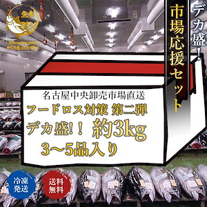 でら盛フードロス　名古屋市場応援セット　約３ｋｇ　冷凍
