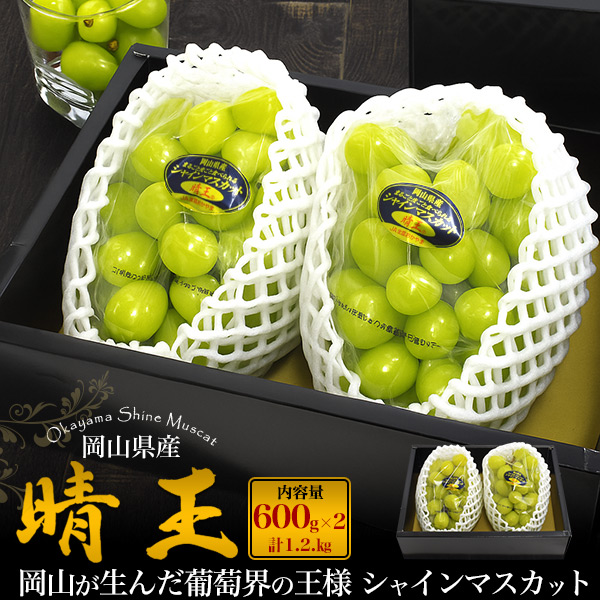 シャインマスカット 秀品 岡山県産 晴王 2房 660gx2 贈答用 ギフトボックス 種なし ぶどう　高糖度 甘い 果物　フルーツ 葡萄　お祝い 御礼 ギフト　お取り寄せグルメ