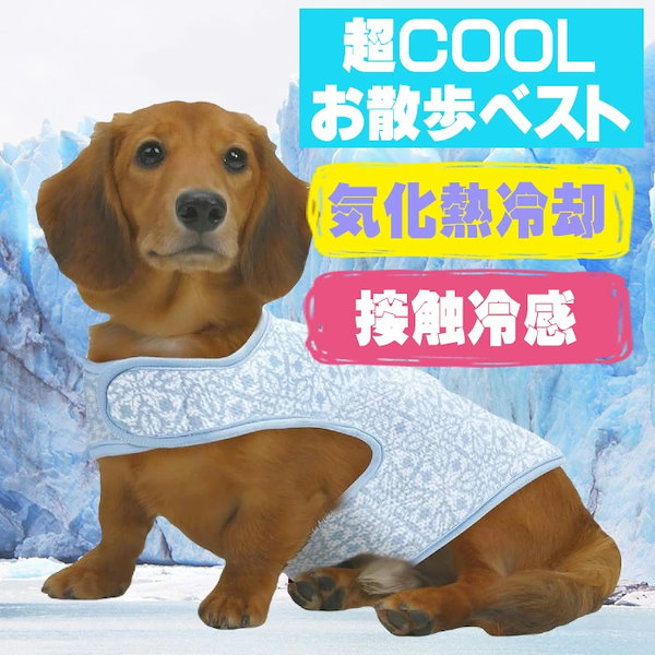 Qoo10] マルカン 犬服 マルカン 超COOL お散歩ベスト