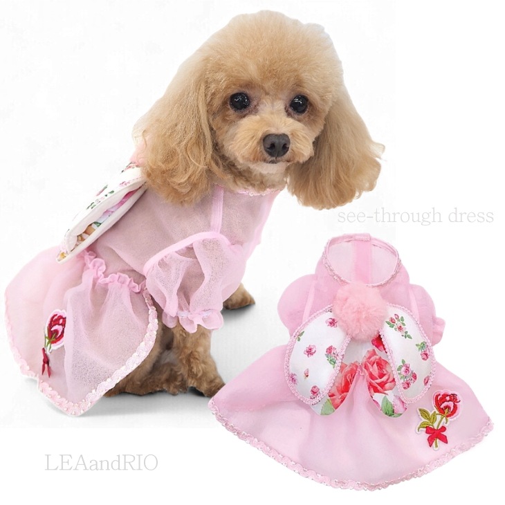 シースルーワンピース P752