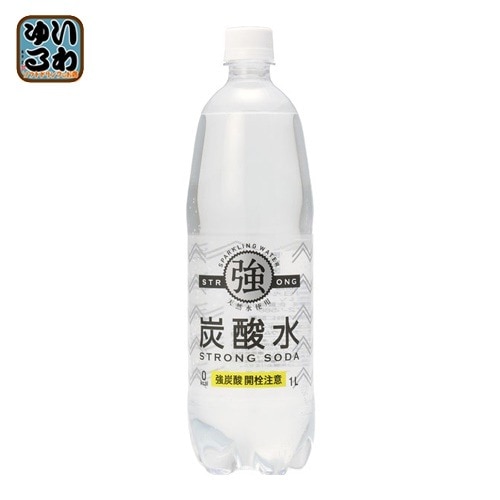 友桝飲料 強炭酸水 1L ペットボトル 30本 (15本入×2 まとめ買い) 炭酸飲料 炭酸水 強炭酸 無糖