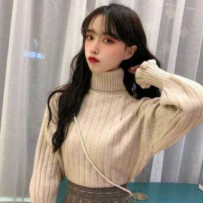 セーター レディース ざっくり ニット ハイネック 長袖 タートル ハイネック リブ 可愛い きれいめ カジュアル 上品 ガーリー 無地 秋 冬 学生 通学 デート アウトドア お出かけ イベント 大