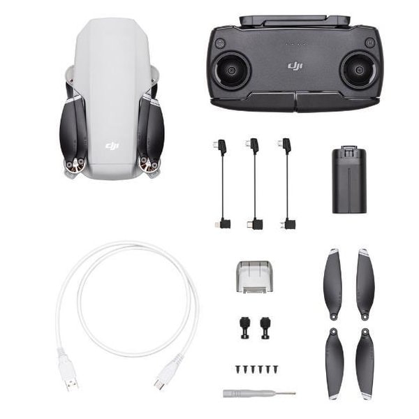 DJI ドローン Mavic Mini 小型 賠償責任保険付 技適 航空法対象外