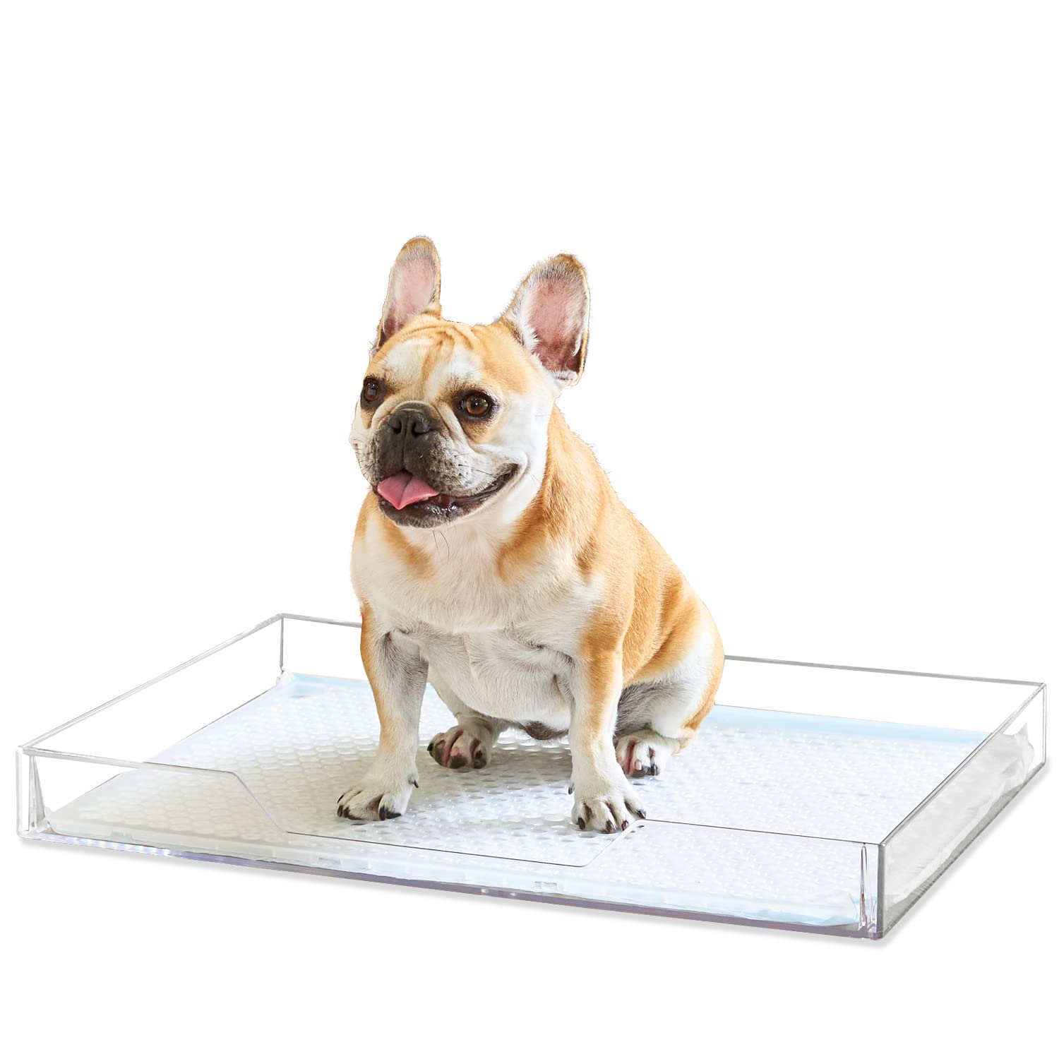 【OFT】 クリアレット 2 M メッシュトレーセット メッシュ丸穴タイプ 犬 トイレ