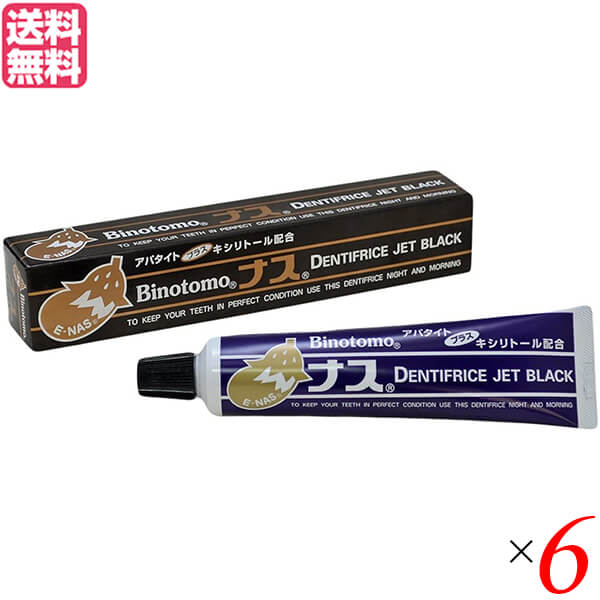 ハミガキ はみがき 歯磨き粉 美の友 ナスハミガキ ナスジェットブラック 130g 6個セット