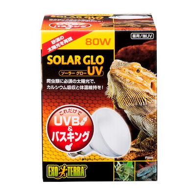 他サイト： ＧＥＸ　エキゾテラ　ソーラーグローＵＶ　８０Ｗ　ＰＴ２３３４　トカゲ　バスキング　ＣＲＣ17―41―10―20―70の商品画像