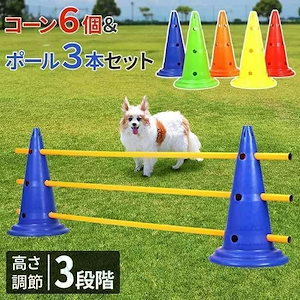 ドッグアジリティ トレーニング コーン ポール セット アジリティー 犬 ジャンプバー ハードル 犬用 ドッグ 障害物 柵 競技 練習 ジャンプ 30cm 競争
