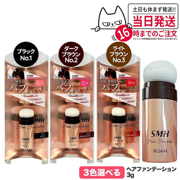 ルアン SMH 3個 ヘアファンデーション 12g No.2 ダークブラウン スーパーミリオンヘアー SMH ヘアファンデーション No.2 ダーク