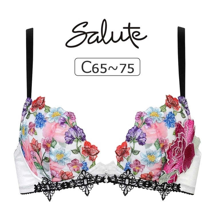 ワコール サルート 60G ブラジャー単品 フロントエックス Cカップ アンダー65/70/75cm BTJ760