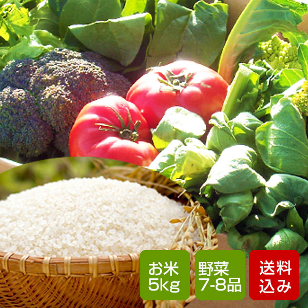 Qoo10] 野菜とお米のセット 野菜詰め合わせ 野菜 : 食品