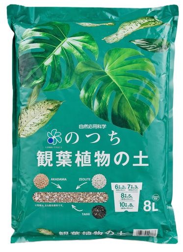 民族植物学　原理と応用 楽天ブックス: 民族植物学 - 原理と応用 - C．M．コットン