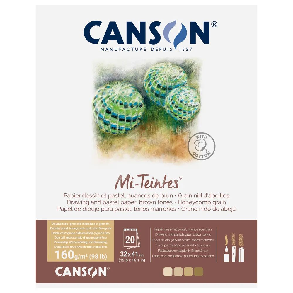 （まとめ買い）色画用紙 キャンソン ミタント パッド 32x41cm F6サイズ ブラウントーン 4色アソート 20枚 T4C C31032P002 [x3]