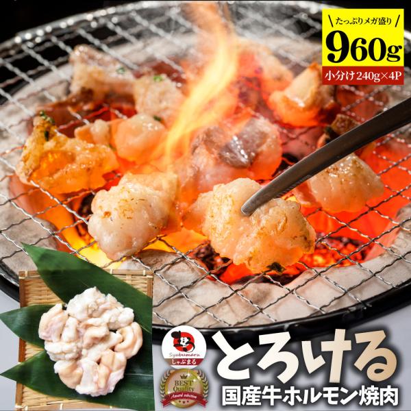 国産牛 ホルモン 960g (240g×4袋) ほるもん 小腸 焼肉用 お得 焼肉 やきにく アウトドア レジャー 送料無料 冷凍