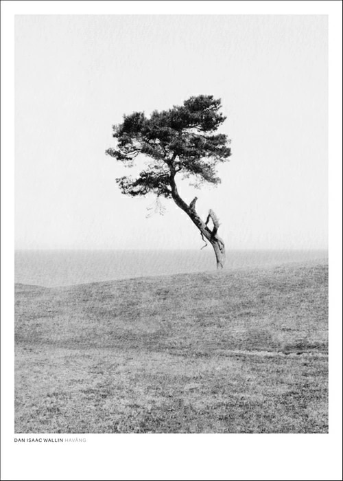 DAN ISAAC WALLIN HAVANG BW フォトグラフィ/ポスター