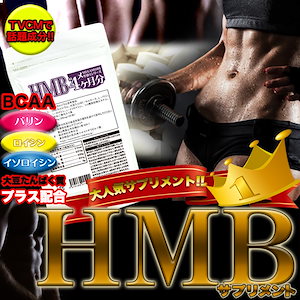 メガ盛り　HMBサプリメントどっさり約4ヶ月分(大豆たんぱく　BCAA　美BODY系サプリメント　120粒入り　大容量）