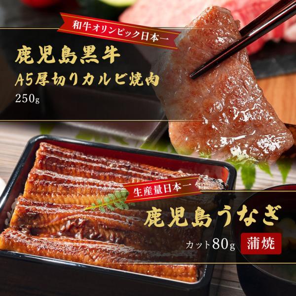 蒲焼うなぎカット済蒲焼（80g）＋鹿児島和牛・A5厚切りカルビ焼肉250g / 牛肉 鰻 ウナギ セット ギフト
