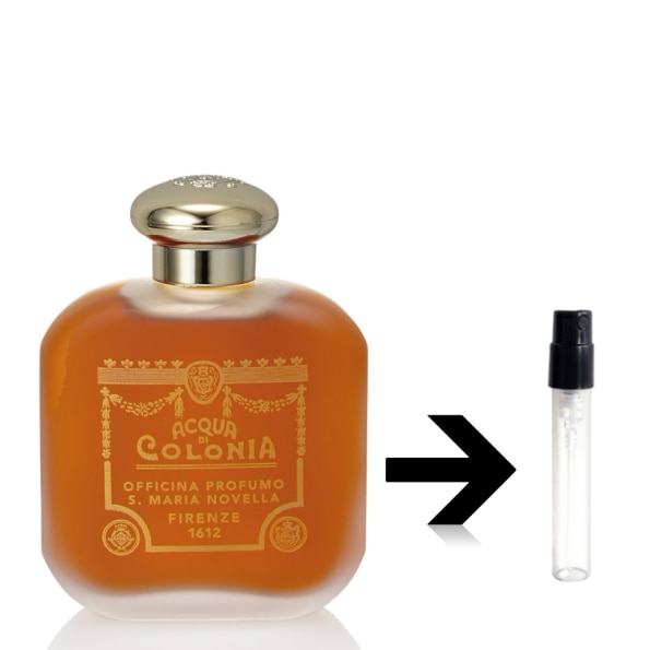 10ml パチューリ オーデコロン　サンタマリアノヴェッラ　アトマイザー お試し 香水 メンズ