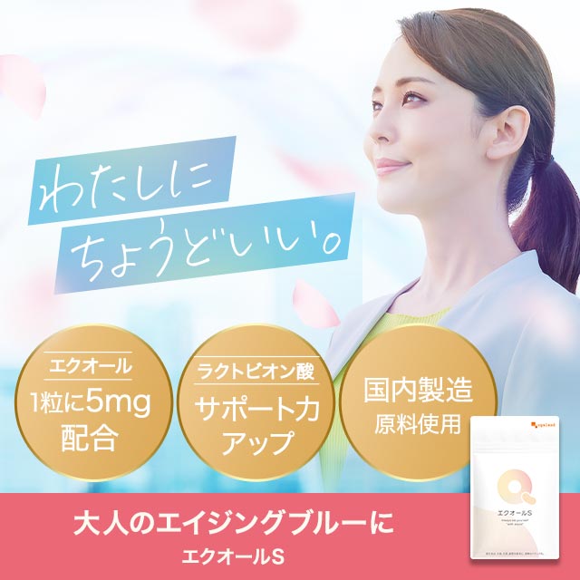 エクオールS（6個セット約6ヶ月分） 9,402円