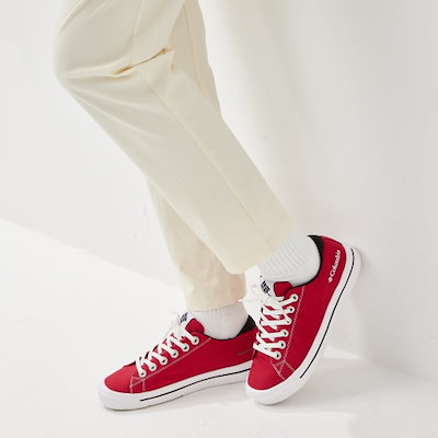 EBONY エボニー SU810/SV810/sv8X10大判 交換用広角蛇腹 【公式通販】