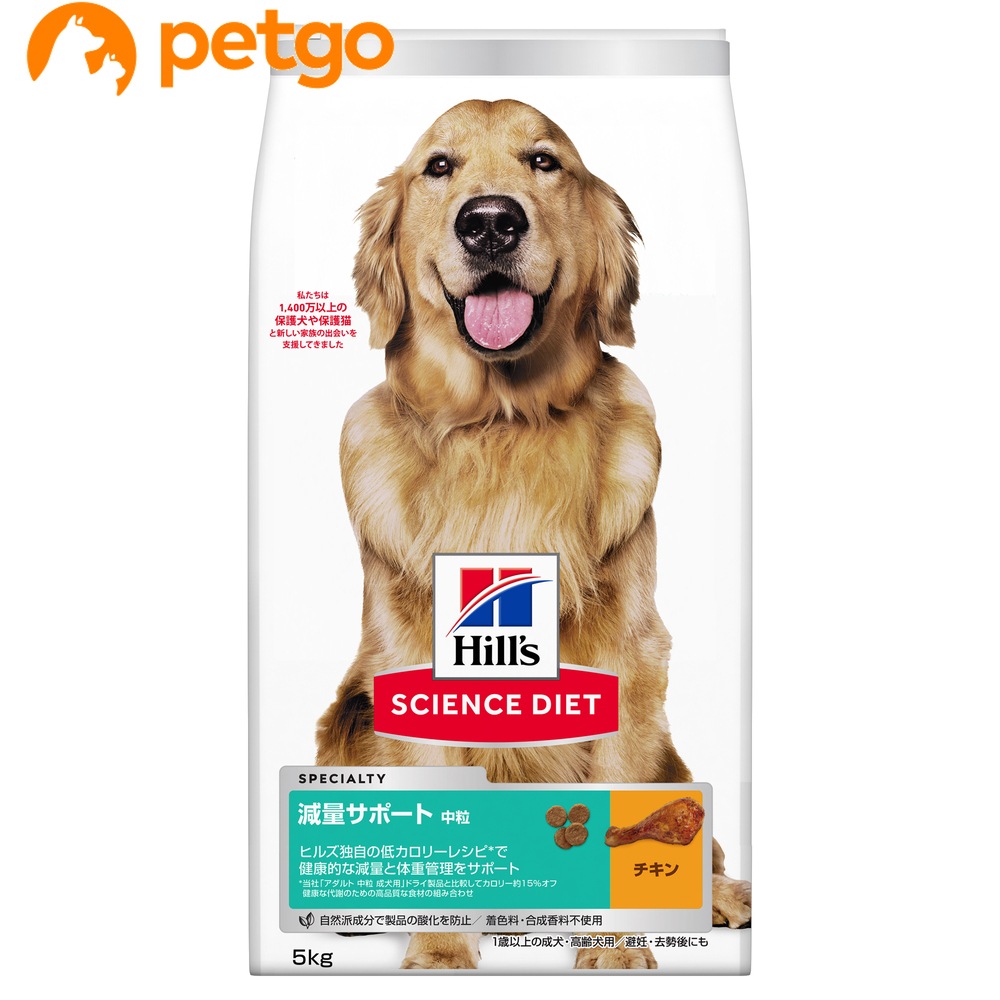 �T�C�G���X�E�_�C�G�b�g ���ʃT�|�[�g ���� �`�L�� 1�Έȏ�̐����E����p/��D�E������ɂ� 5kg