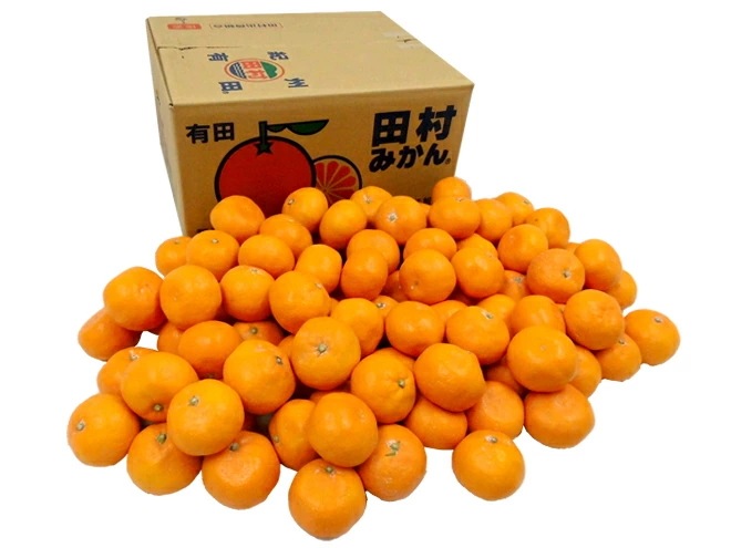 和歌山有田産 =田村みかん= 秀品 S/M/Lサイズ 約10kg 産地箱 久右門 佐助 限定 予約 11月末以降