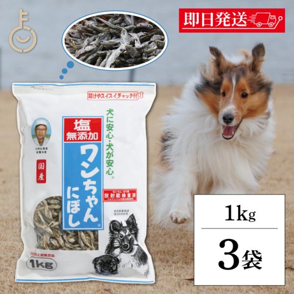 犬 おやつ 塩無添加 国産 ワンちゃんにぼし お徳用 1kg 3個 サカモトにぼし 塩無添加 ワンちゃんにぼし 業務用