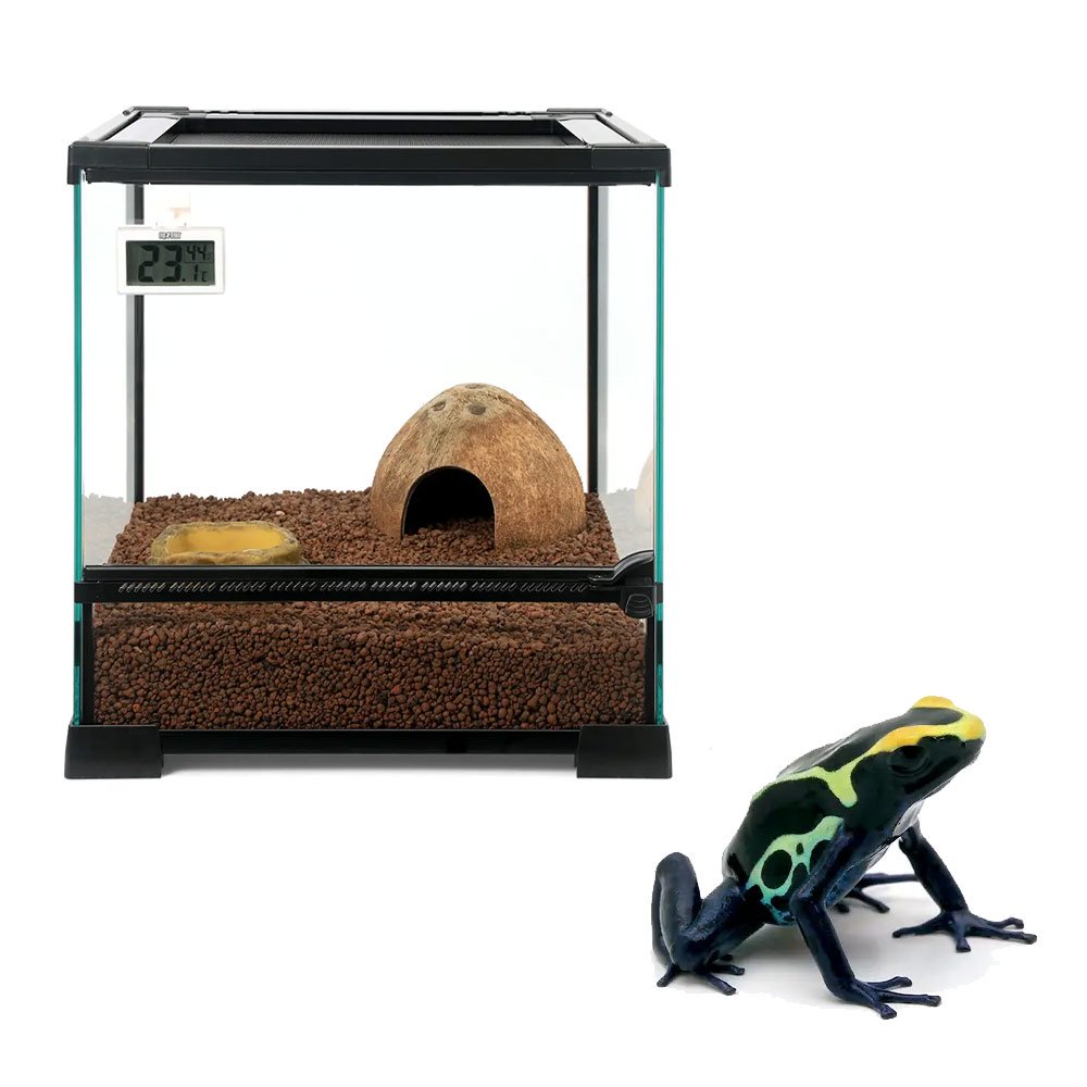 （両生類）ヤドクガエルの基本飼育セット＆「アイゾメヤドクガエル　コバルト」　本州四国限定　ＣＲＣ17―10―35―10―00