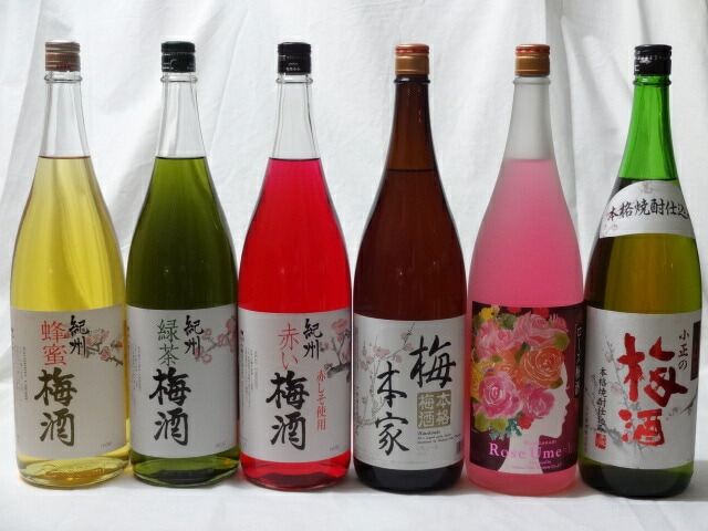 こんな梅酒福袋が欲しかったぁ　飲み比べ6本セット（中野BC 赤い梅酒 緑茶梅酒 蜂蜜梅酒 中埜酒造